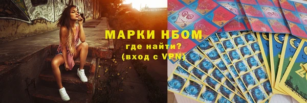 ECSTASY Белокуриха